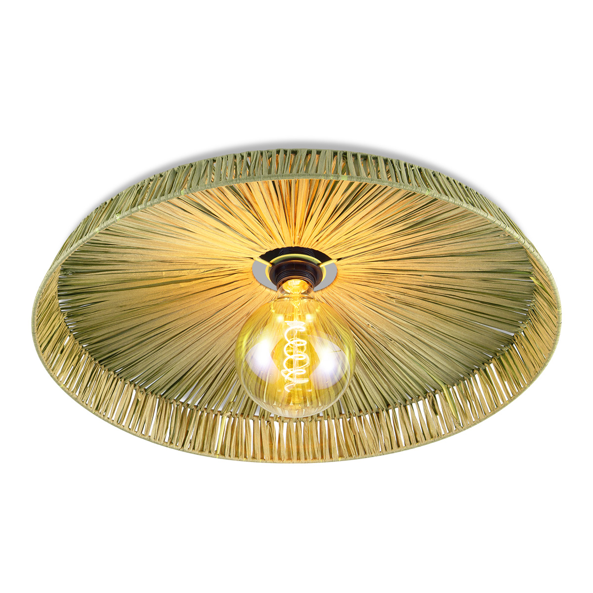 Ceiling lamp Rimalex TLC7656 54GN