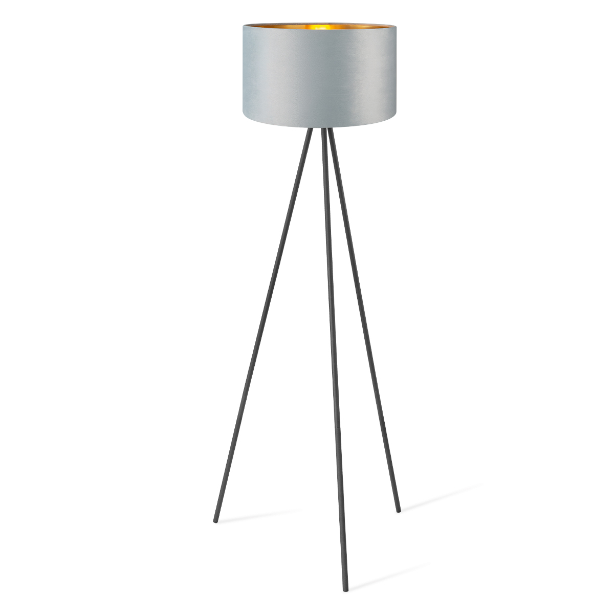 Floor lamp Sylorix TLF7564 01BL