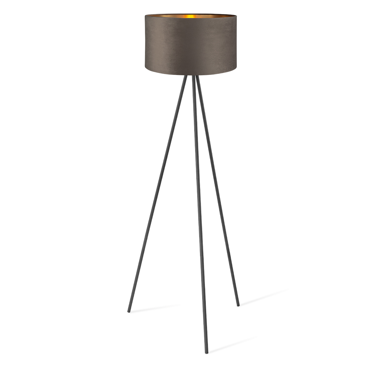 Floor lamp Sylorix TLF7564 01DG