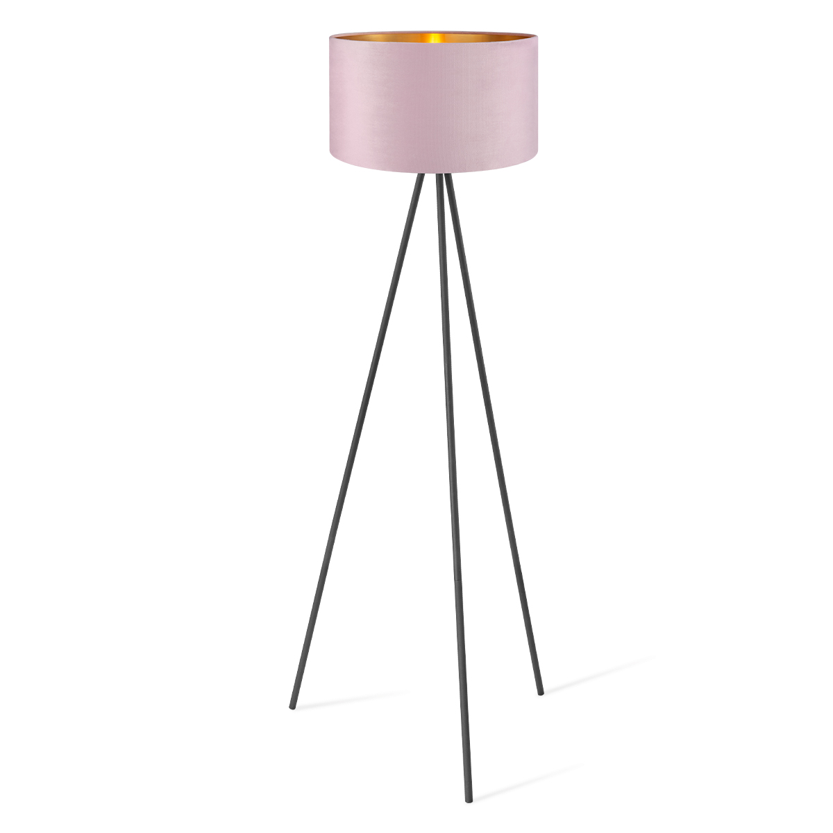 Floor lamp Sylorix TLF7564 01PK
