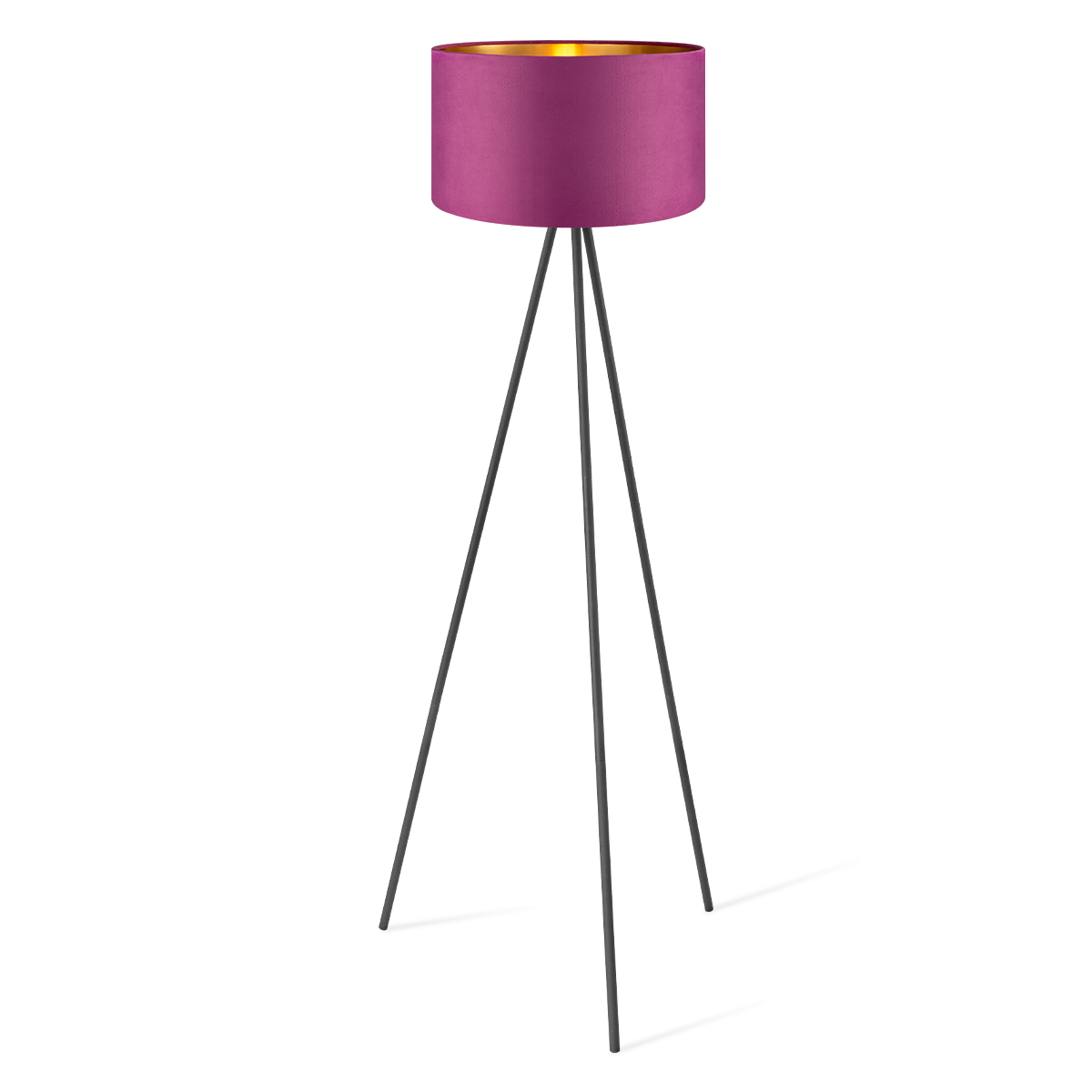 Floor lamp Sylorix TLF7564 01PP