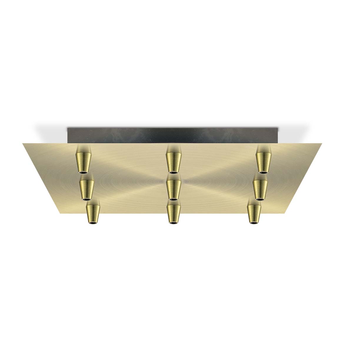 Tangla lighting - TLCP017-09GD - Metal 9 Lights square canopy large - adjustable gold
