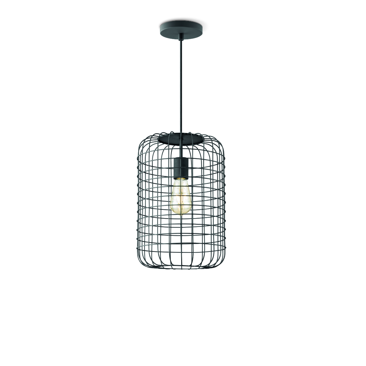 Tangla lighting - TLP4088-01SB - LED Pendant lamp 1 Light - metal - sand black - melon medium - E27