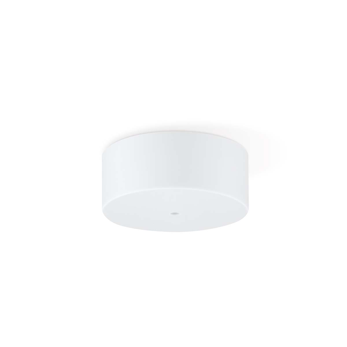 Tangla lighting - TLCP022-01TT - Silicon 1 Light round canopy cylinder - transparent