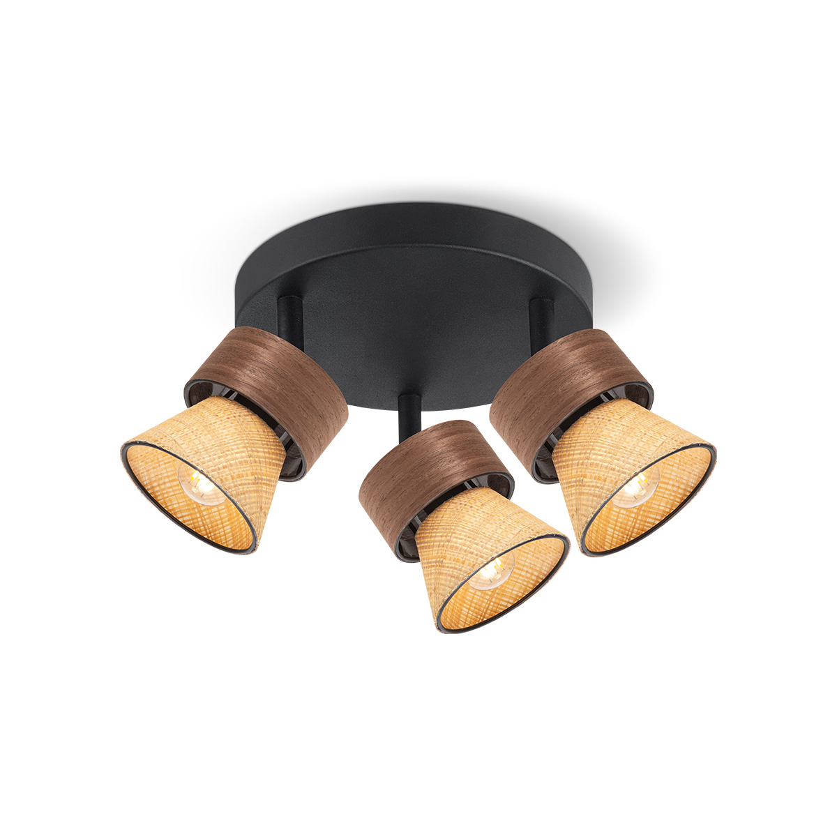 Spotlights Zorvix TLS7632 03BN