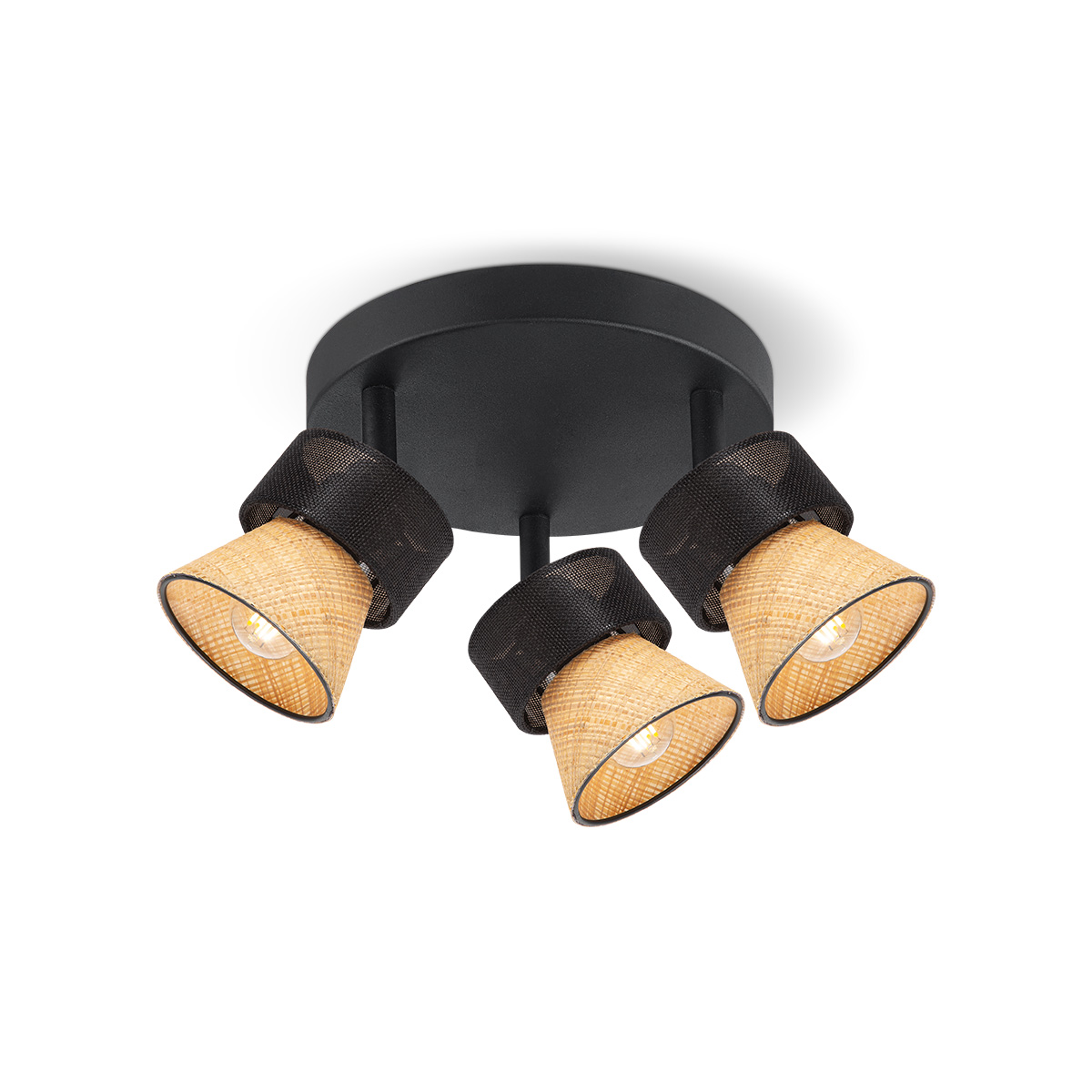 Spotlights Zorvix TLS7631 03BN